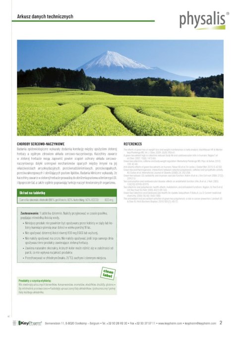 HERBATA ZIELONA 30 TABLETEK - PHYSALIS