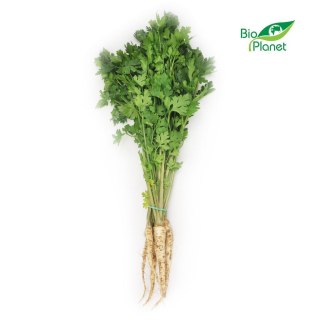 PIETRUSZKA Z NACIĄ ŚWIEŻA BIO (POLSKA) (około 0,30 kg)