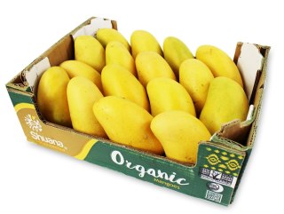 Przecena OPAKOWANIE ZBIORCZE (szt) - MANGO ATAULFO ŚWIEŻE BIO (około 24 sztuk)