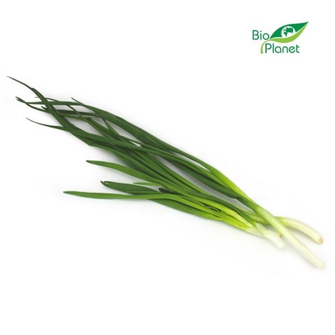 CEBULA ZE SZCZYPIORKIEM ŚWIEŻA BIO (około 0,12 kg)