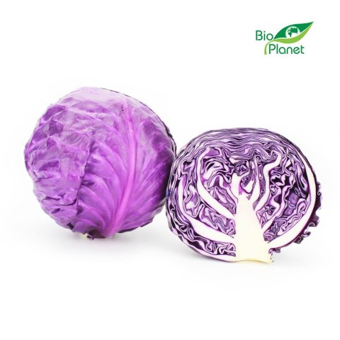KAPUSTA CZERWONA MŁODA ŚWIEŻA BIO (około 1,00 kg)