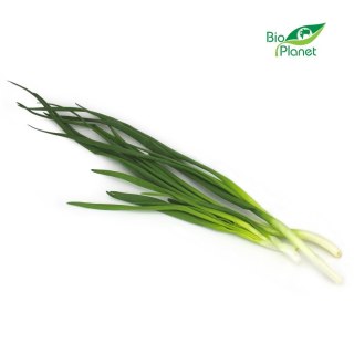 Przecena CEBULA ZE SZCZYPIORKIEM ŚWIEŻA BIO (około 0,12 kg)