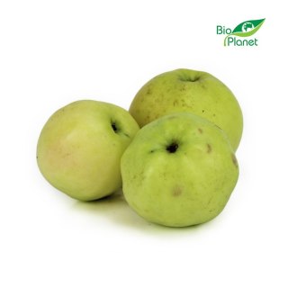 JABŁKA ŚWIEŻE BIO (ANTONÓWKA - POLSKA) (około 1,00 kg)