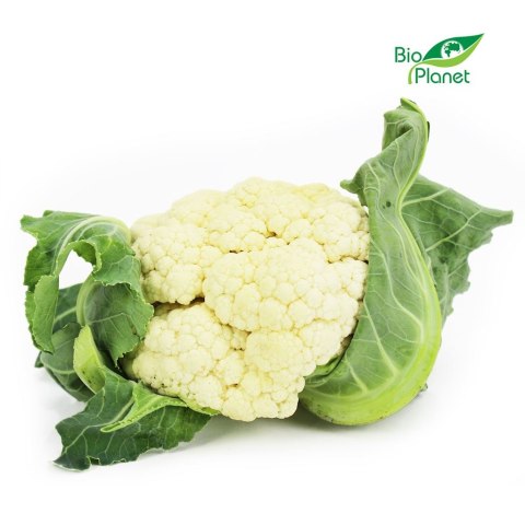 KALAFIOR ŚWIEŻY BIO (POLSKA) (około 0,80 kg)