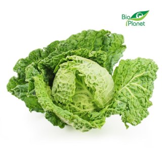 KAPUSTA WŁOSKA ŚWIEŻA BIO (POLSKA) (około 1,00 kg)