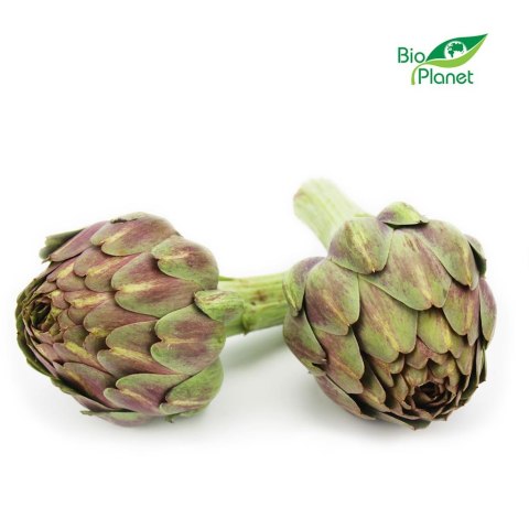 KARCZOCH ŚWIEŻY BIO (około 0,13 kg)