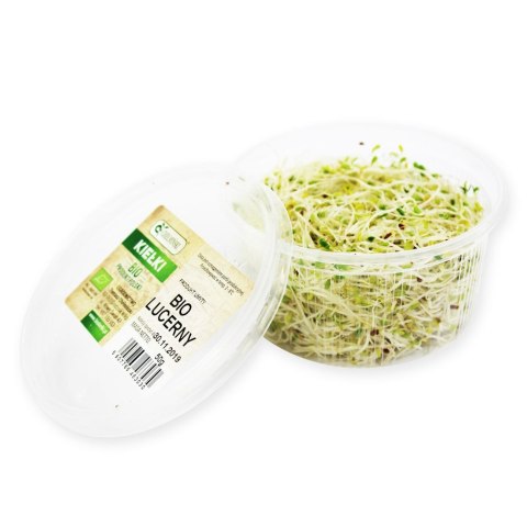 Przecena KIEŁKI LUCERNY ŚWIEŻE BIO (około 50 g)