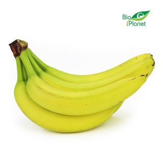 Przecena OPAKOWANIE ZBIORCZE (kg) - BANANY ŚWIEŻE BIO (około 18 kg)