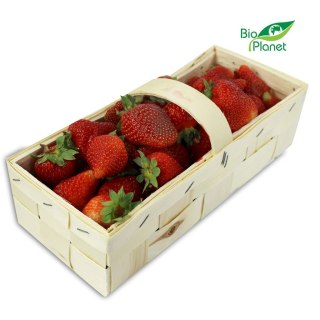 Przecena TRUSKAWKA ŚWIEŻA BIO (POLSKA) (opakowanie około 1,00 kg)