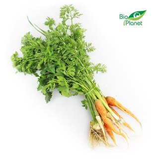 Przecena WŁOSZCZYZNA PĘCZEK ŚWIEŻA BIO (POLSKA) (około 0,40 kg)