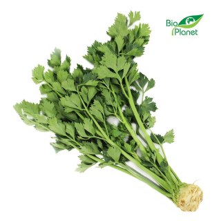 SELER Z NACIĄ ŚWIEŻY BIO (POLSKA) (około 0,30 kg)