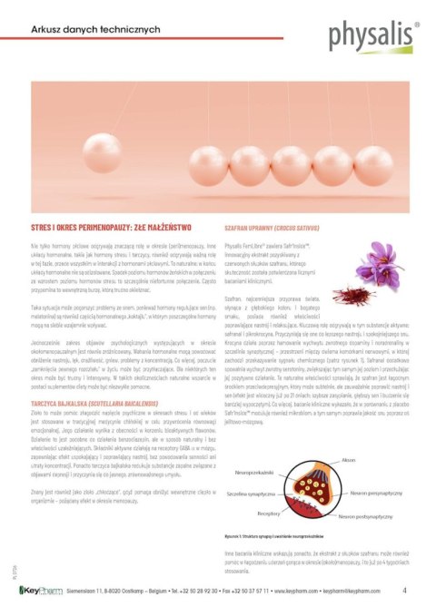 TABLETKI NA MENOPAUZĘ (FEMLIBRE) 30 szt. - PHYSALIS (HERBALANCE)