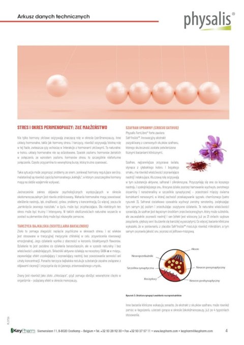 TABLETKI NA MENOPAUZĘ (FEMLIBRE FORTE) 30 szt. - PHYSALIS (HERBALANCE)