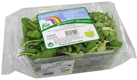 MIX SAŁAT ŚWIEŻY NIEMYTY BIO (około 0,10 kg)