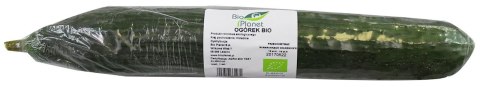 OGÓREK DŁUGI ŚWIEŻY BIO (około 0,35 kg)