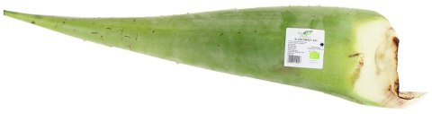 OPAKOWANIE ZBIORCZE (kg) - ALOES ŚWIEŻY BIO (około 4 kg)